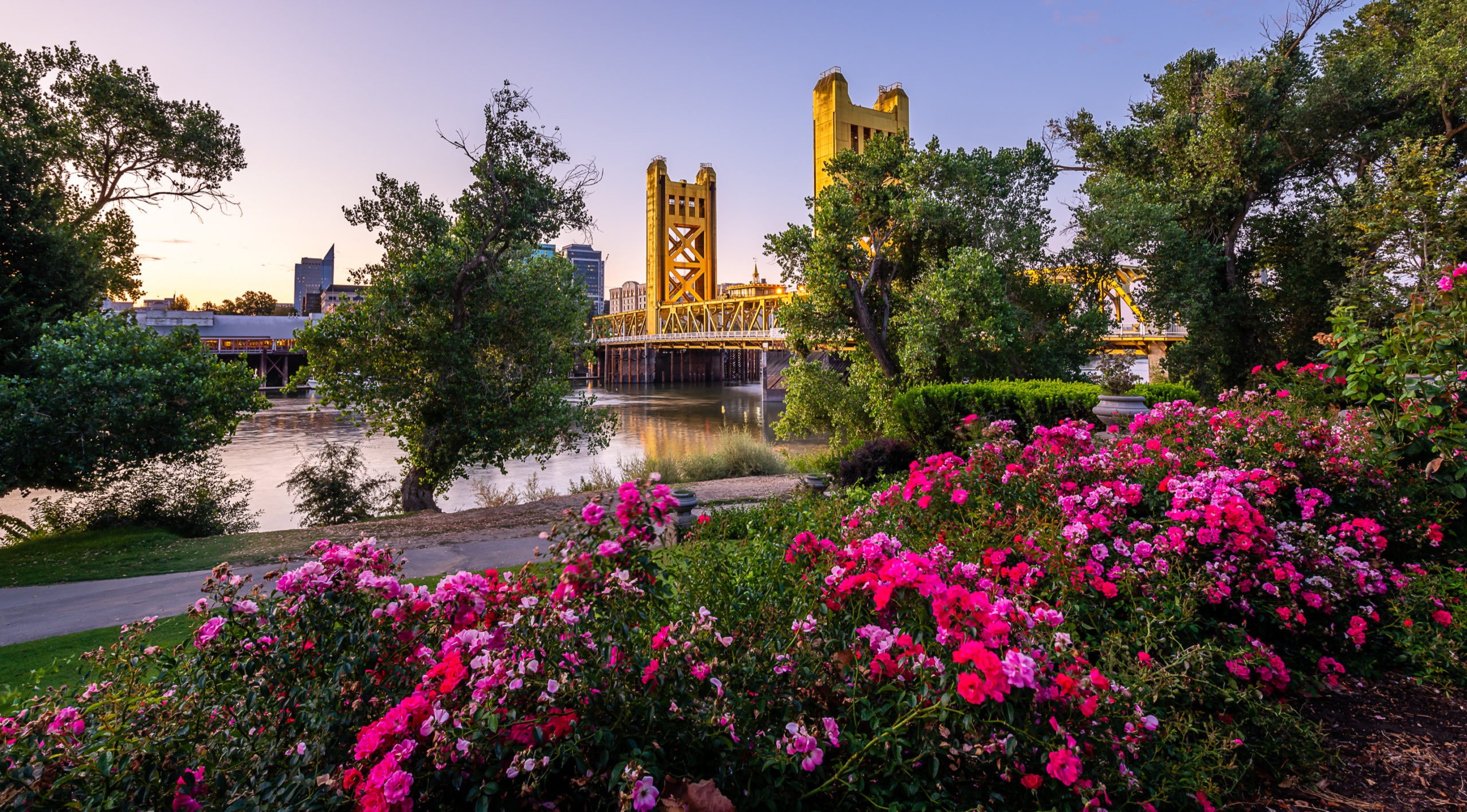 Sacramento Valley Discover California Wines