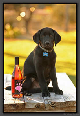 Cougar Vineyard & Winery