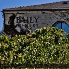 Baily Vineyard & Winery