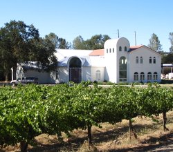 Odyssey Winery & Vineyards