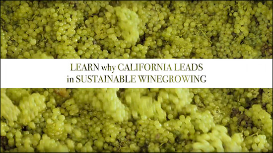 California Sustainable Winegrowing Video