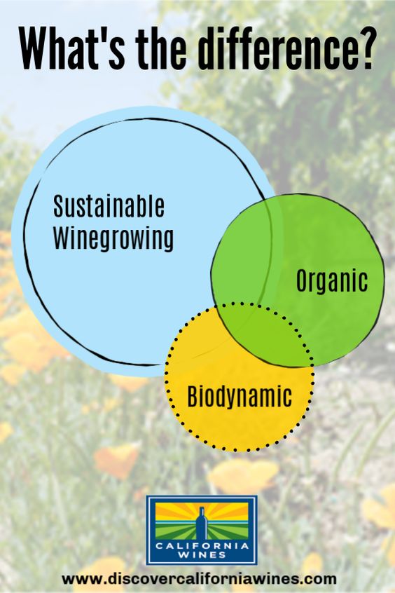Sustainable Winegrowing