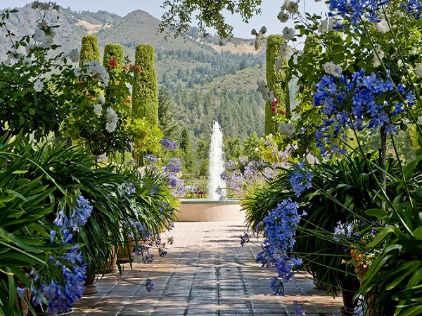 Tapestry Workshop at Landmark Vineyards
