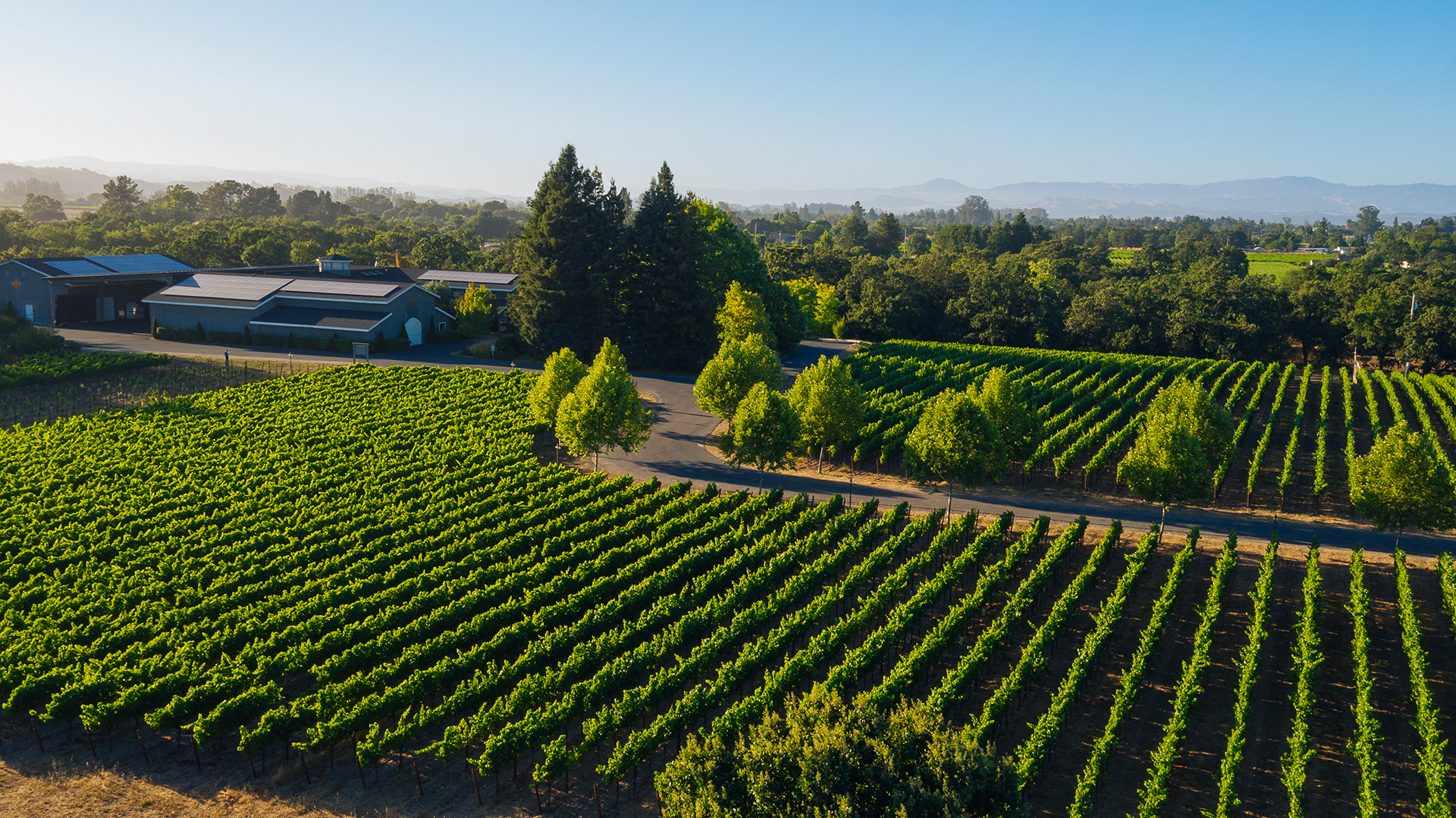 Earth Day at DeLoach Vineyards