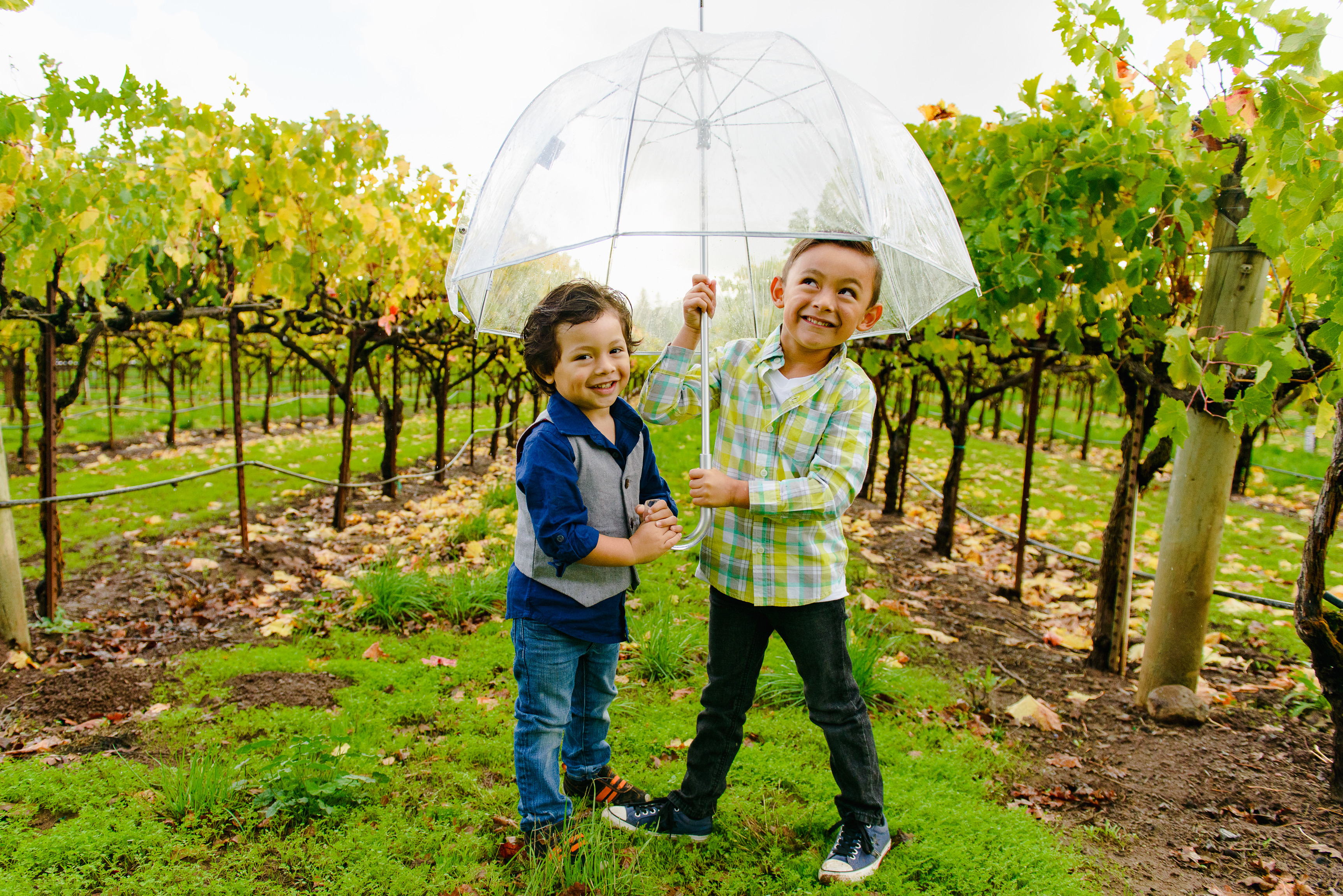 Kids in Vineyard