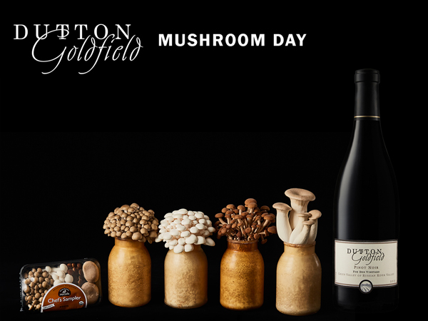 Mushroom Day at Dutton-Goldfield