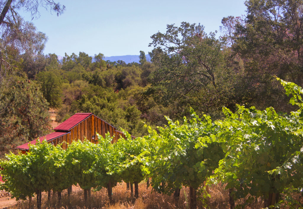 Travel California Wine Country's Back Roads This Summer Inland Valleys