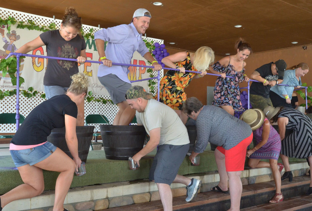 Visitors get down at the Ramona Grape Stomp