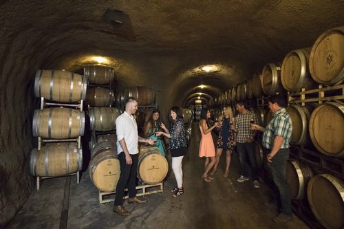 Cave Tour and Barrel Tasting at Alexander Valley Vineyards