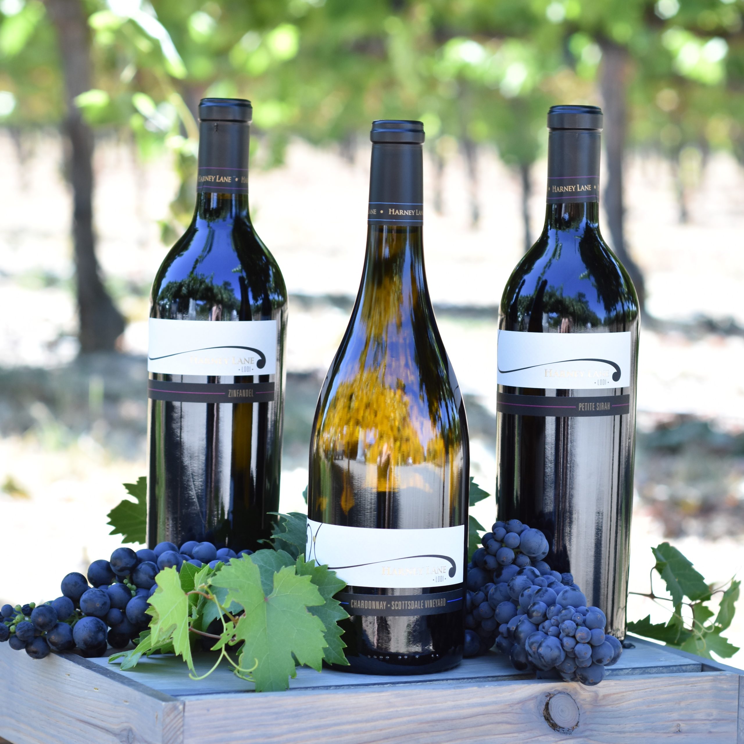 Virtual Tasting: The Wines of Lodi, CA