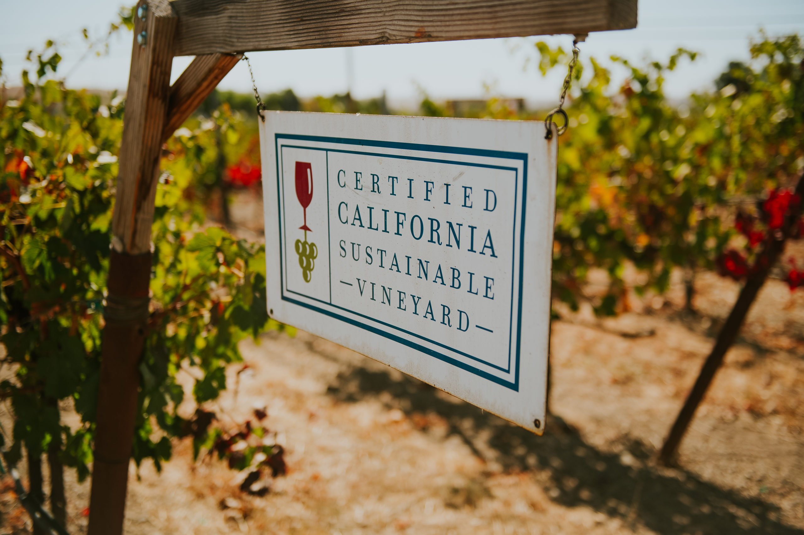 Certified sustainable sign