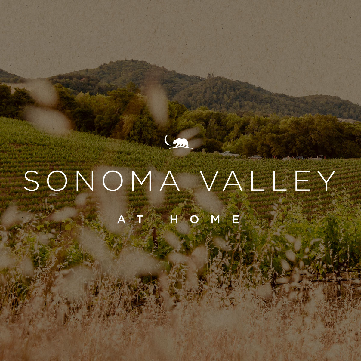 Sonoma Valley Wine Virtual Tastings and Experiences