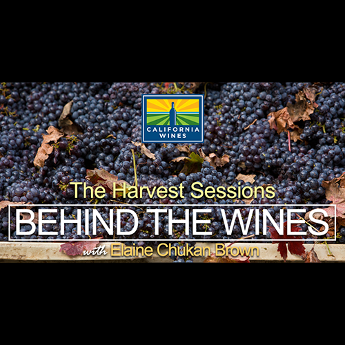 “Behind the Wines: The Harvest Sessions” with Elaine Chukan Brown