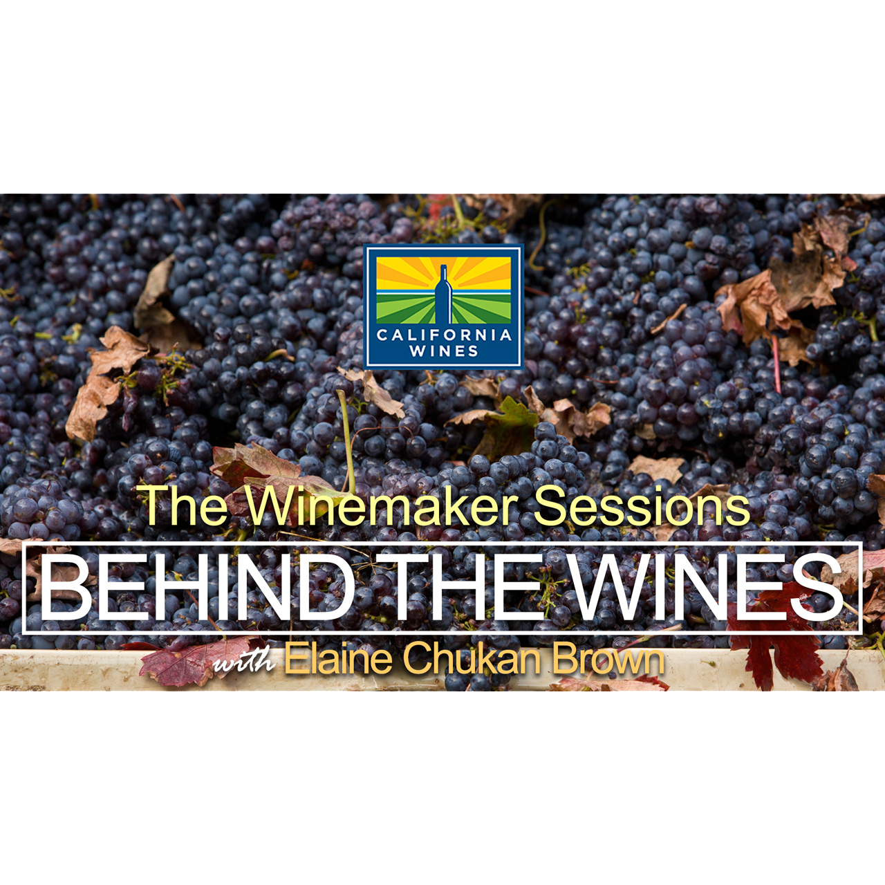 Behind the Wines with Elaine Chukan Brown – “The Winemaker Sessions” (Final Episode)