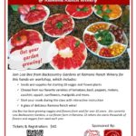 Workshop, starting veggies from seed, april 17, 2021 at Ramona Ranch Winery