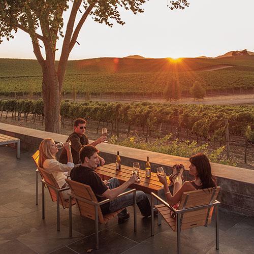 wine drinkers enjoying vineyard sunset