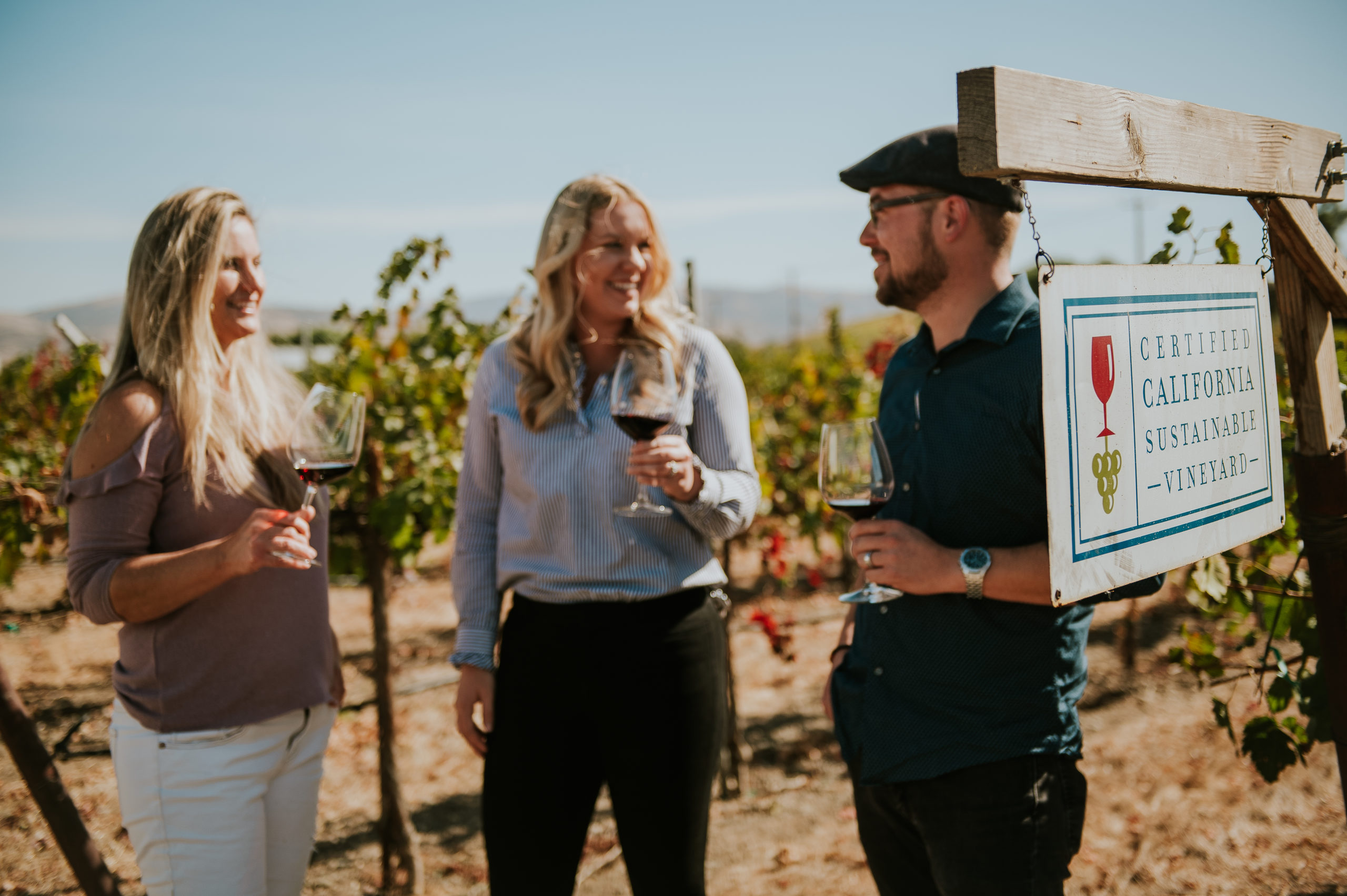 certified sustainable vineyard tasting