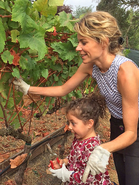 Pruning at family friendly wineries