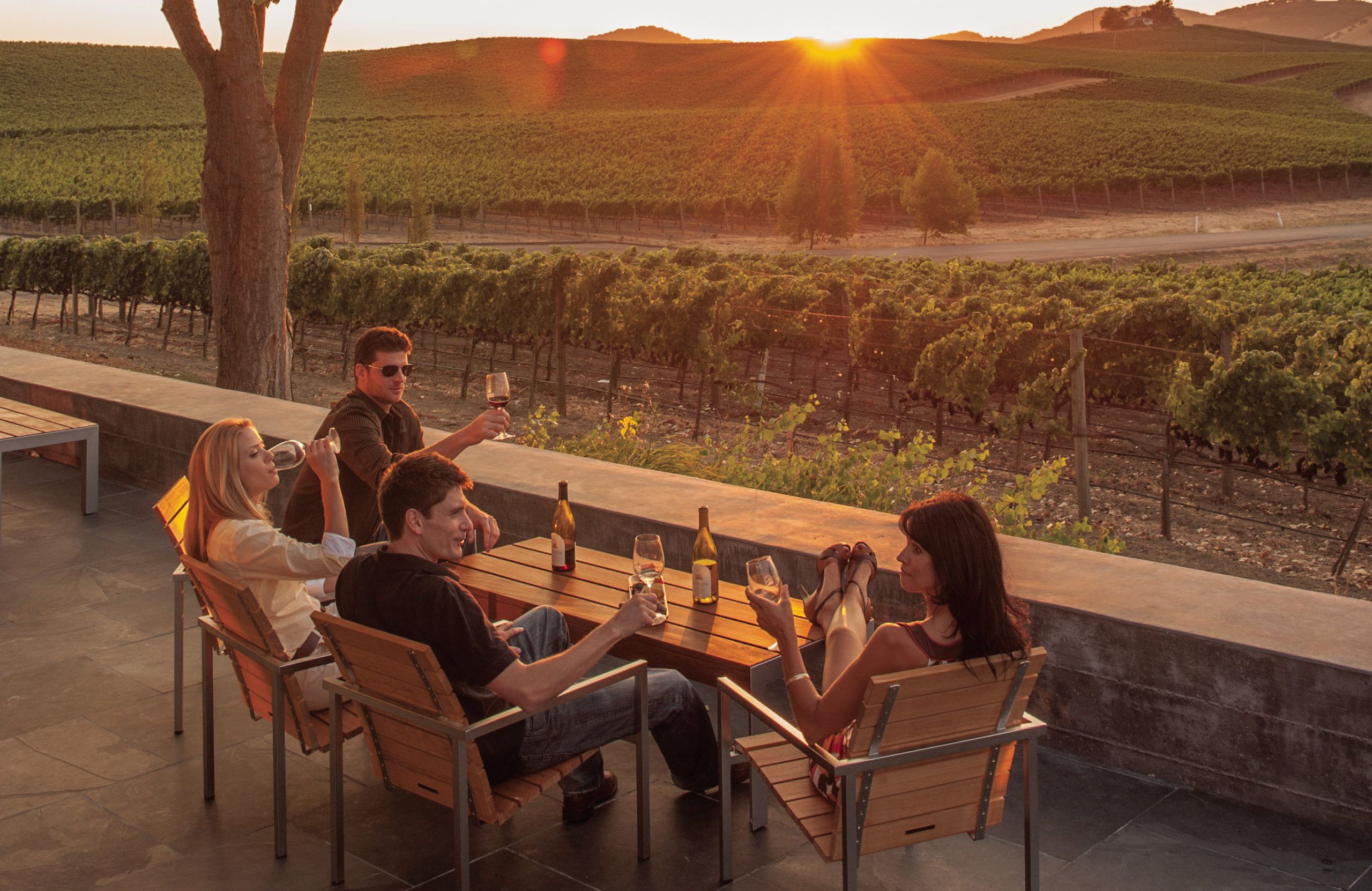 5 Reasons to Love California Wine Country This Summer