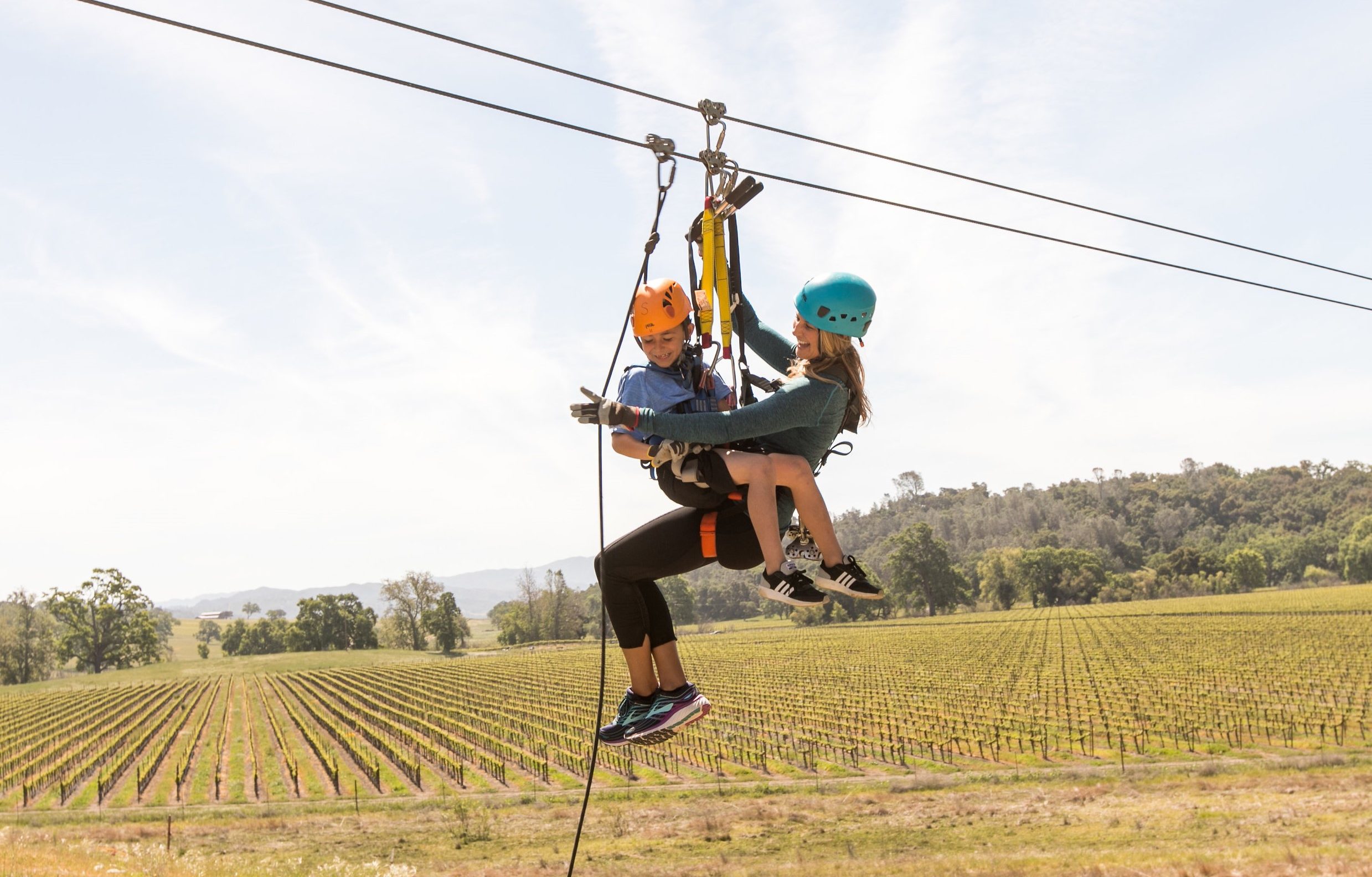 California ‘Family-Friendly’ Wineries