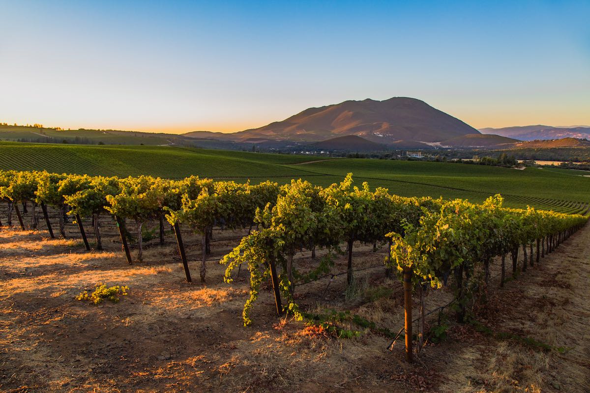 Explore Lake County’s Volcanic Wines