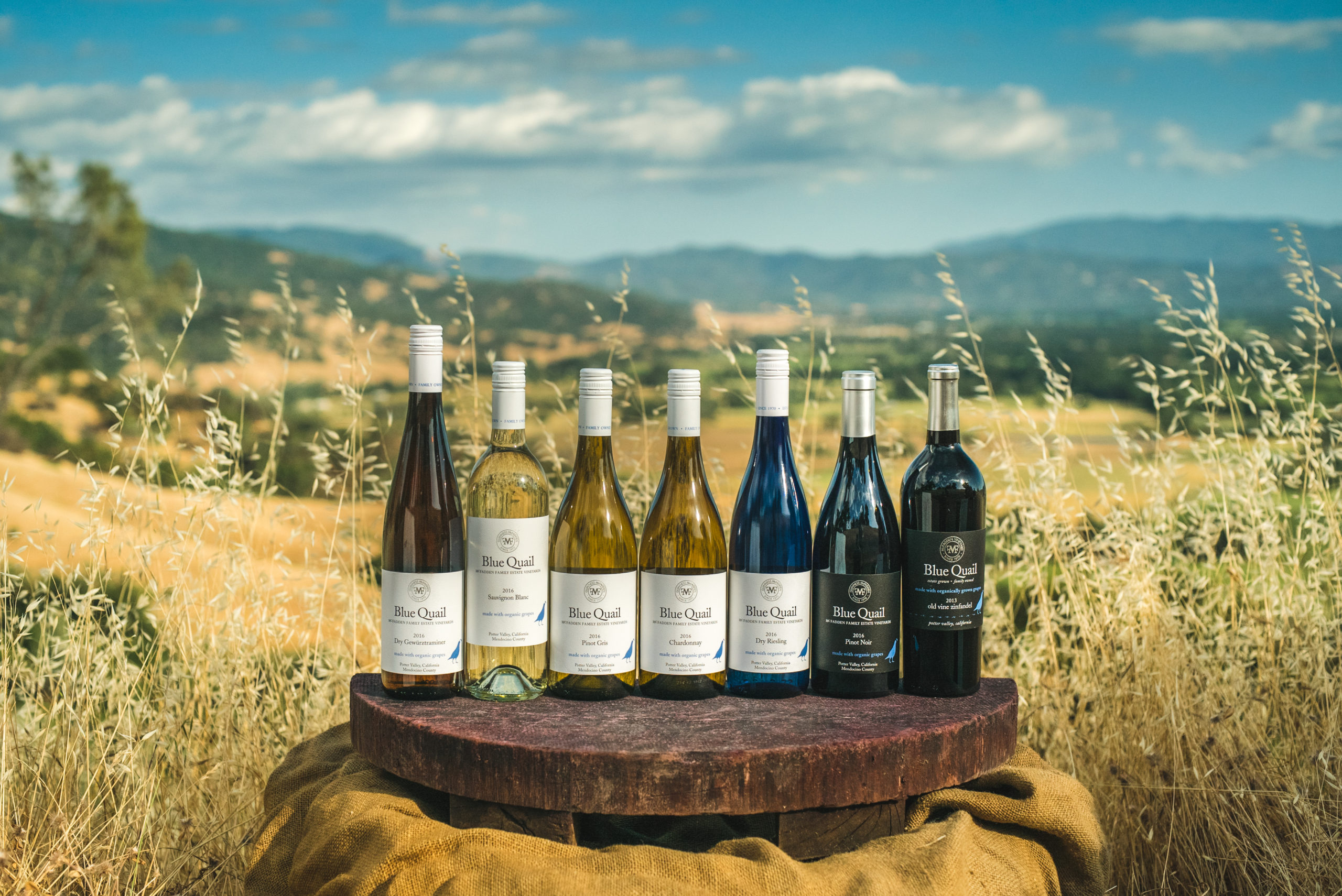 Blue Quail Wines – Holiday Open House