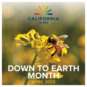down to earth month logo