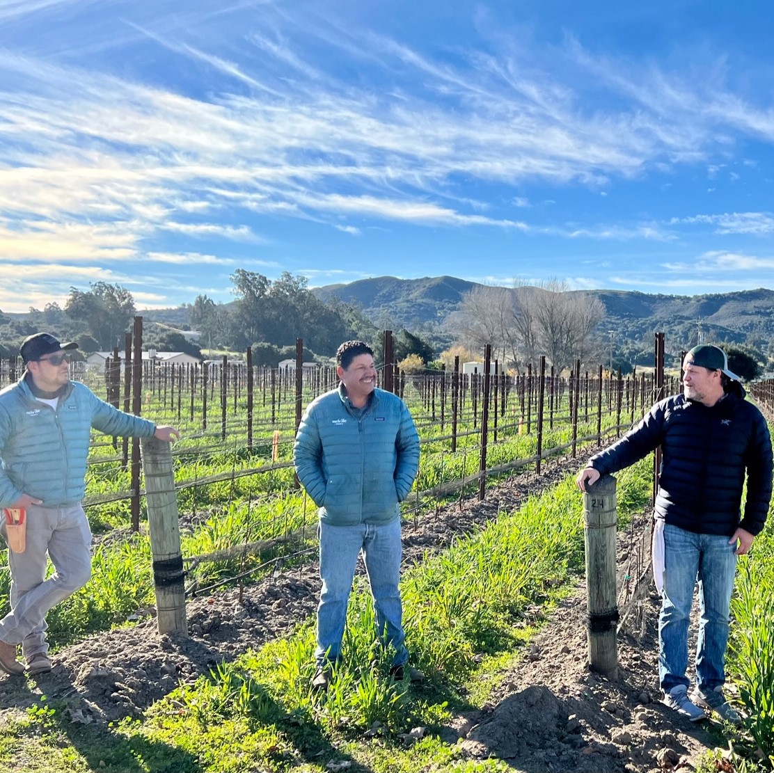 Vineyard Walk, Sustainability and Organic Winegrowing at Melville