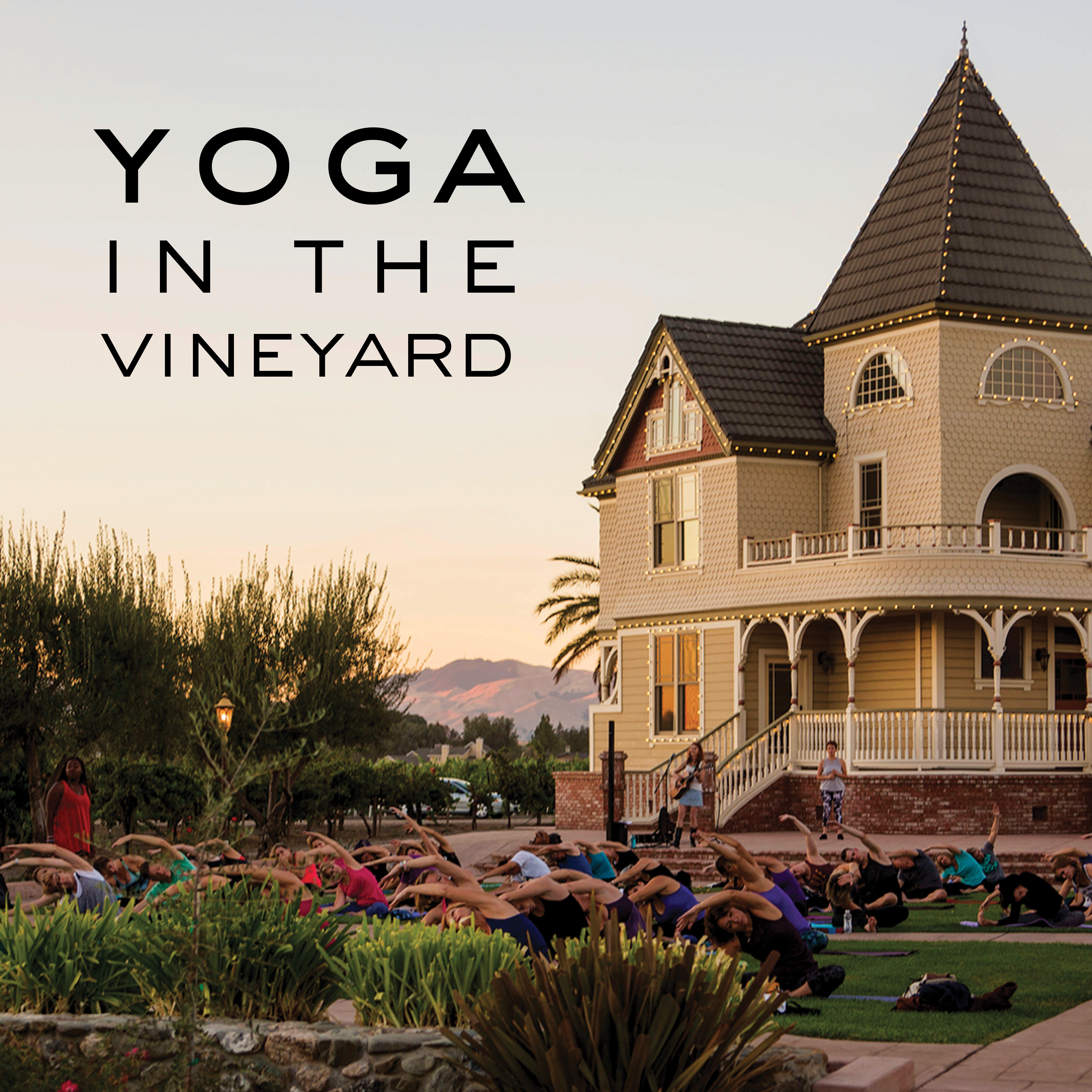 Yoga in the Vineyard