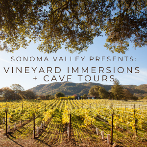 Sonoma Valley Wine Presents: Vineyard Immersions + Cave Tours