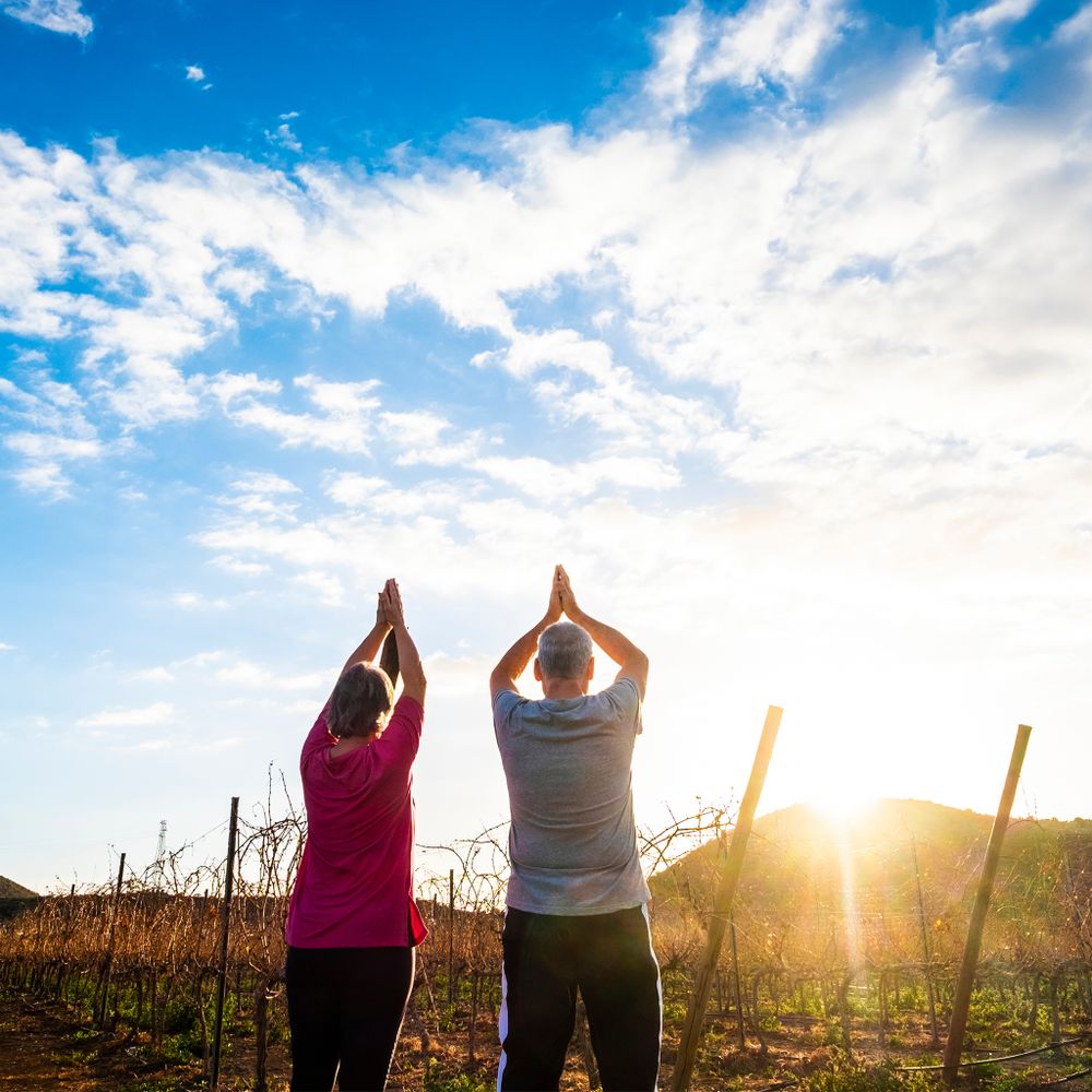 Yoga and Brunch Box at Rombauer Vineyards Sierra Foothills