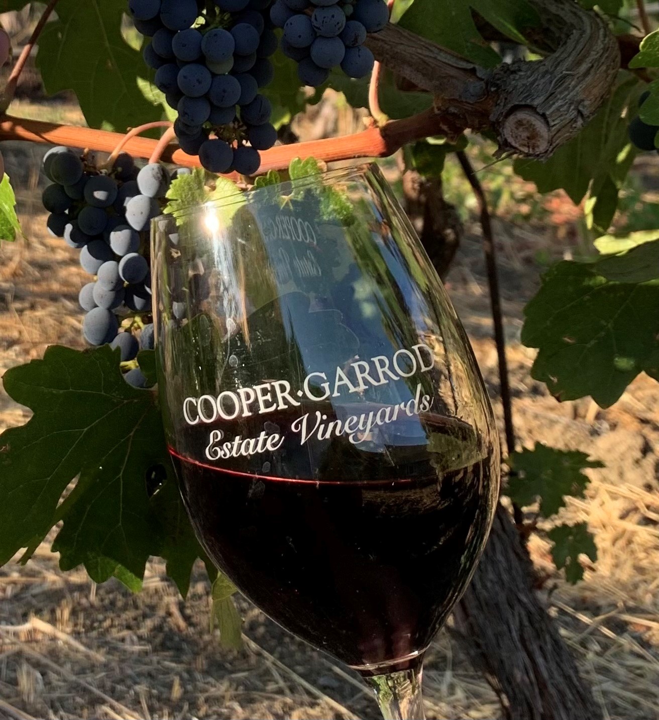 Cooper-Garrod Estate Vineyards