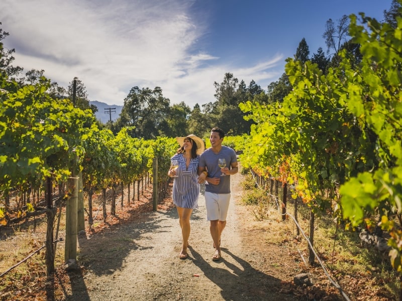 a couple walking arm in arm through a vineyard on a sunny day.