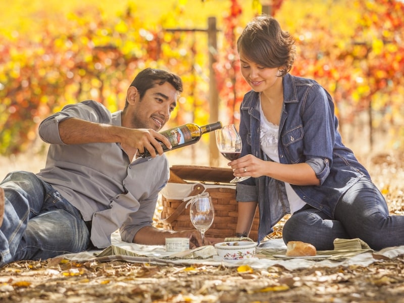 couple picnicking in a vineyard during the fall.