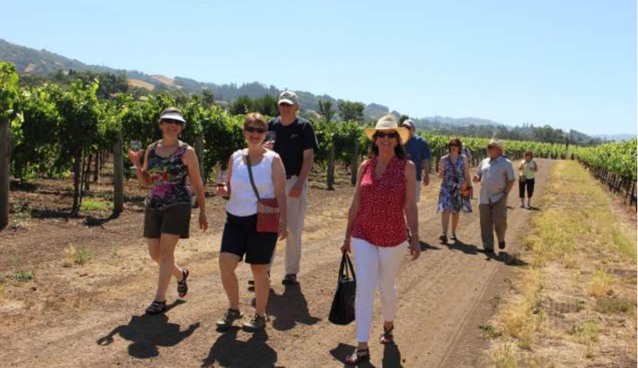 Sustainable Vineyard Hikes