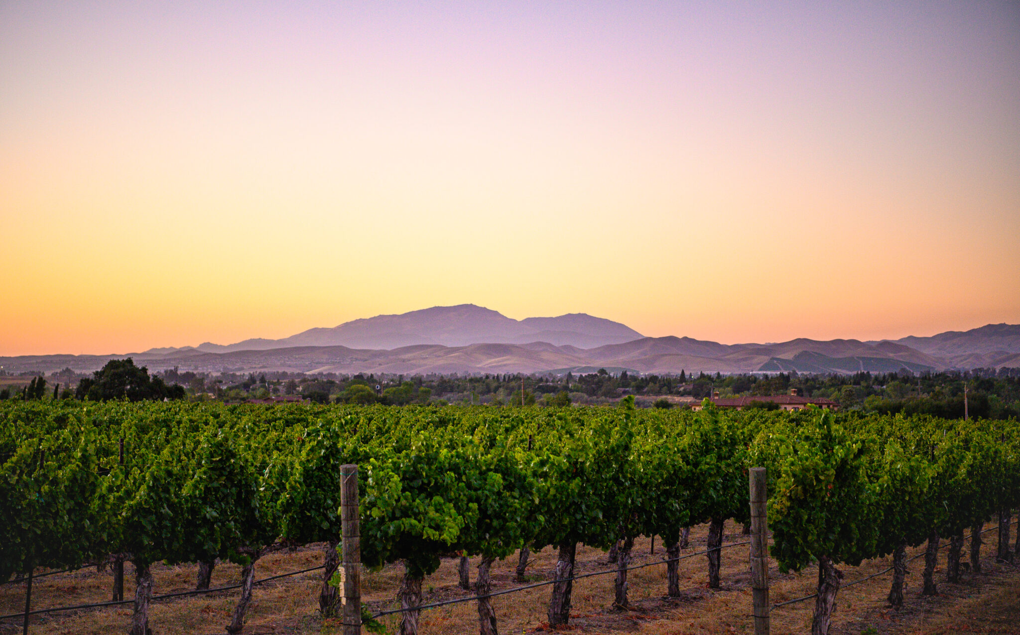 Livermore Valley A Hidden Gem You Need to Know About Discover