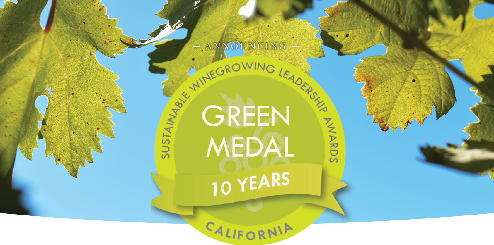2024 Green Medal Awards