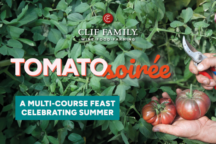 Tomato Soirée – A Multi-Course Feast Celebrating the Humble (and Extraordinary) Tomato