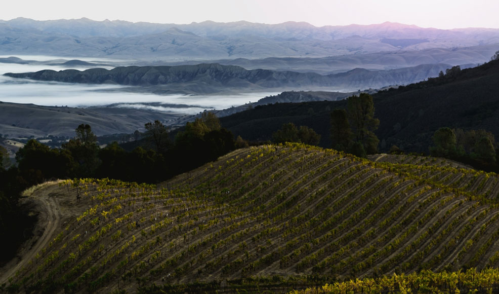 Mt. Harlan Unveiled at Calera Winery