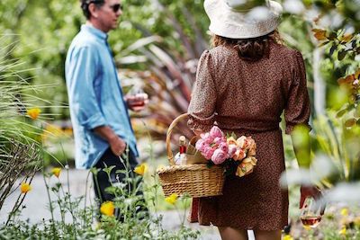 Summer Wine Trail ~ Wine Road Sonoma County