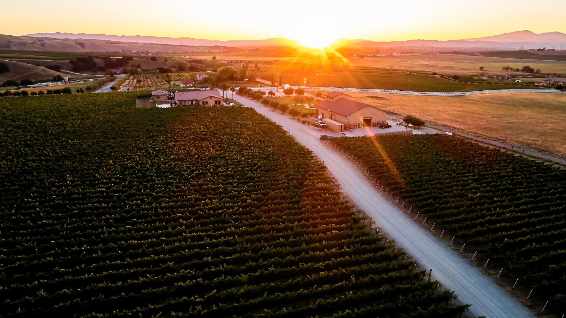 Sunset Vineyard Tour