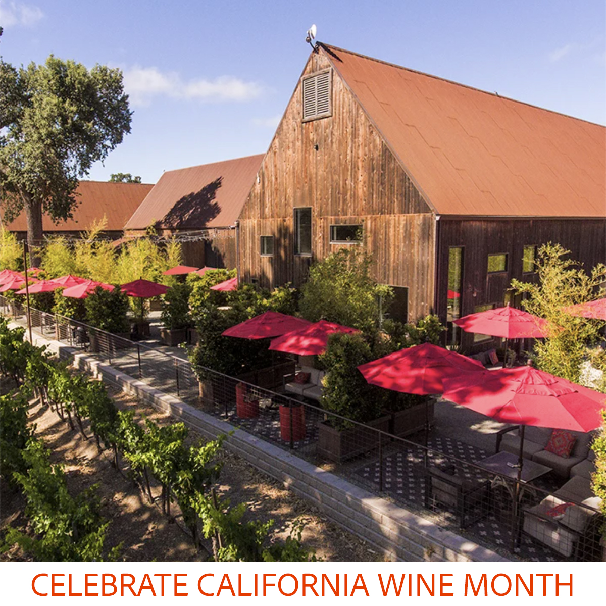 California Wine Month Special Tasting Experience