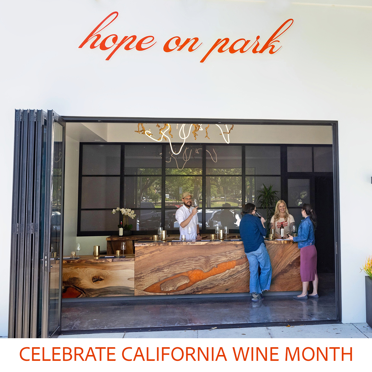 California Wine Month Harvest Experience