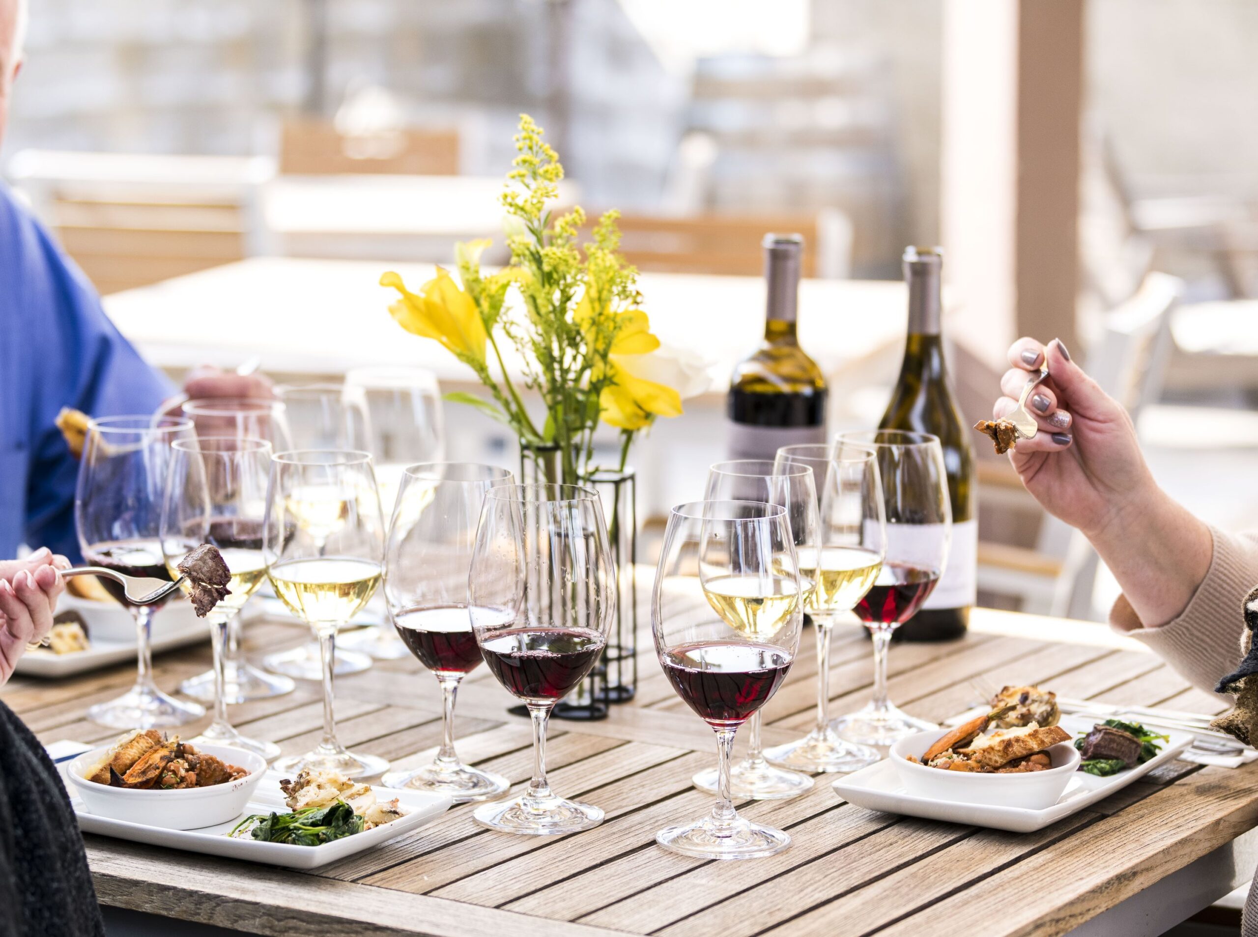 Terroir-to-Table Wine Pairing Experience