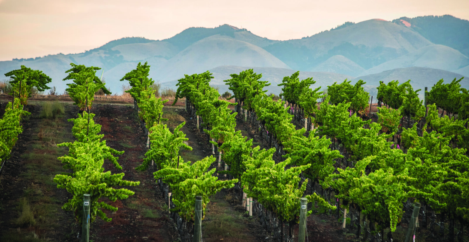 san Luis Obispo