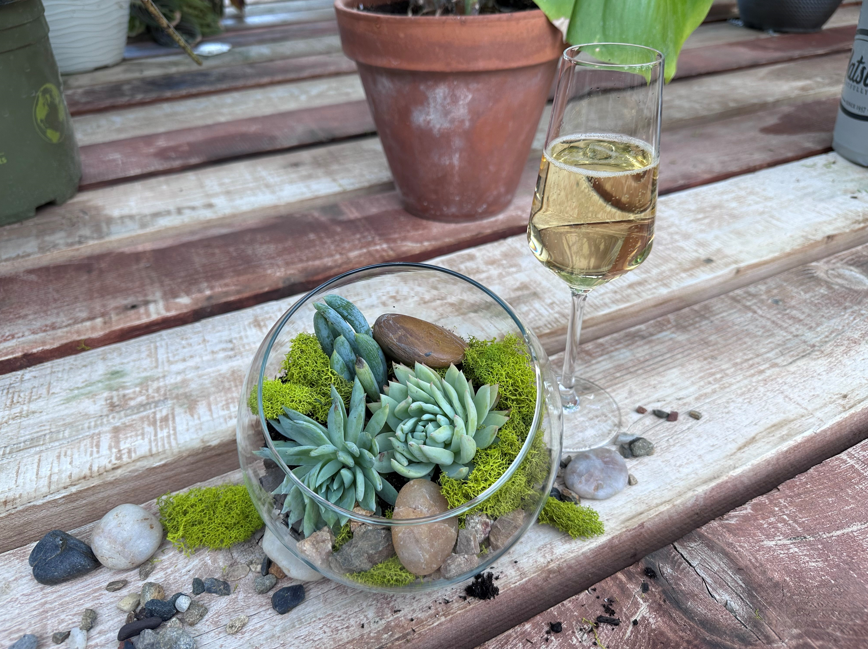 Terrarium Workshop
