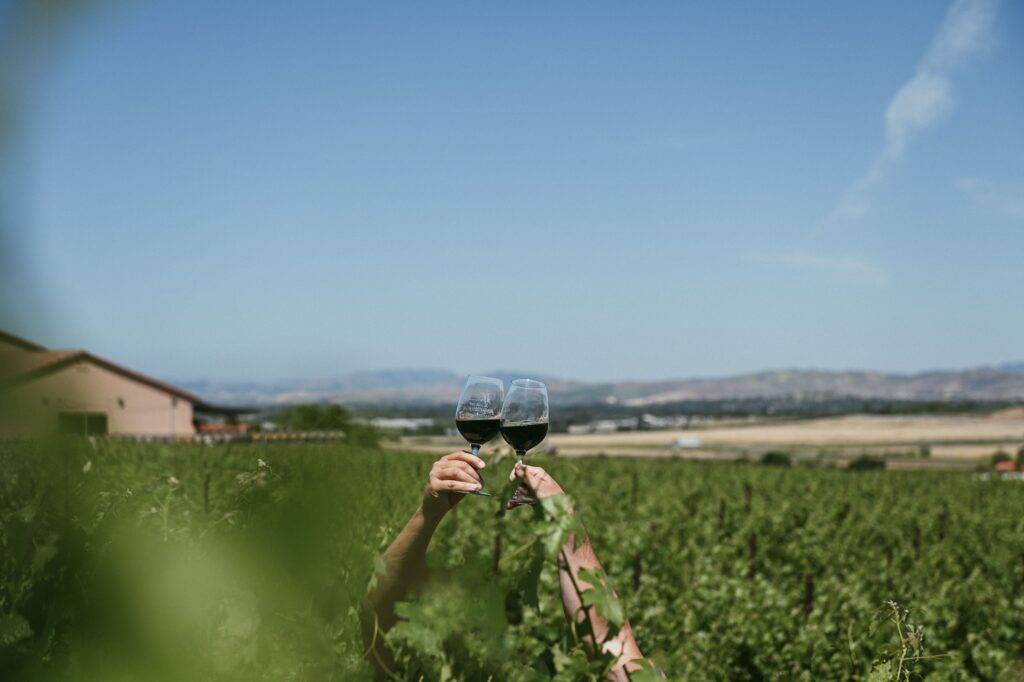 Roots & Renewal: Down To Earth Month Vineyard Tour at McGrail Vineyards