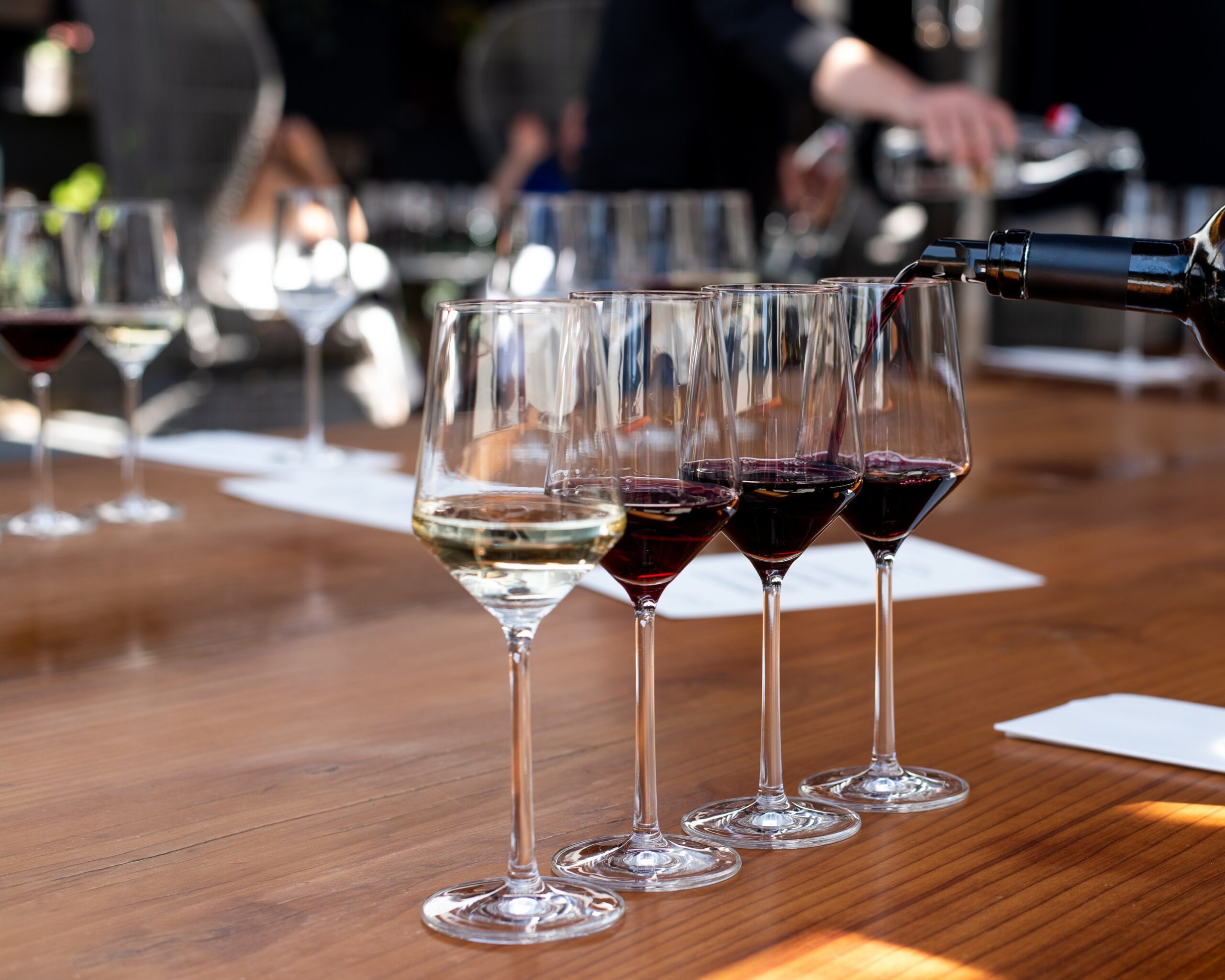 bay area wine tasting