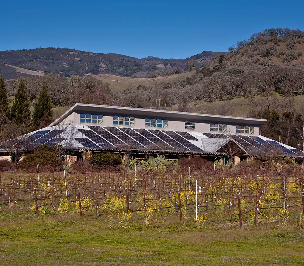Bonterra Organic Vineyards