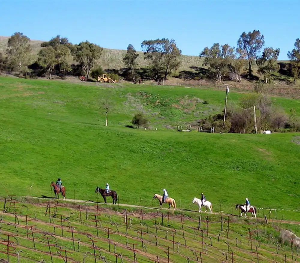 Cooper Garrod Winery
